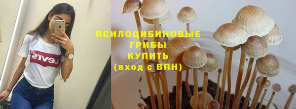 ешки Алзамай